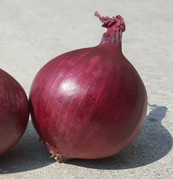 Red Onions